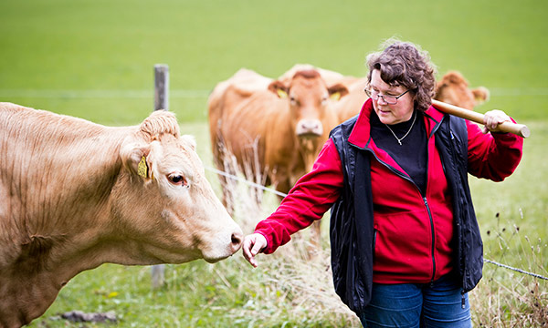 Bild som visar en kvinnlig bonde och en ko på en grön äng.