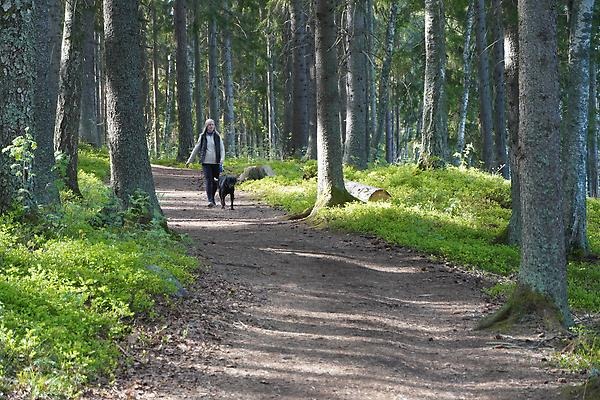 Kvinna och hund på motionsspår